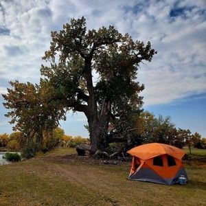 Meet your Posher, Randy